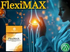 FlexiMAX (Флексимакс)